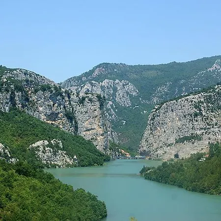 Shpija E Amel Ferr-Shkopet