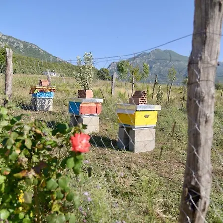 Shpija E Amel Летний дом *