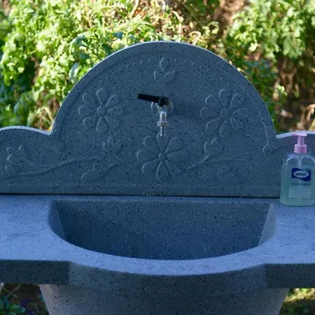 Shpija E Amel Ferr-Shkopet