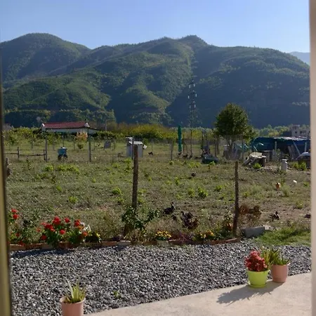 Shpija E Amel Ferr-Shkopet