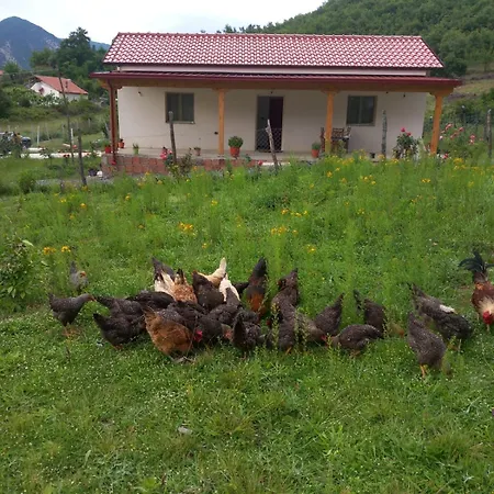 Kır Evi Shpija E Amel Ferr-Shkopet
